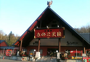きのこ王国