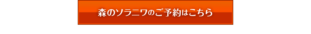 森のソラニワ