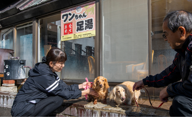 ワンちゃん足湯