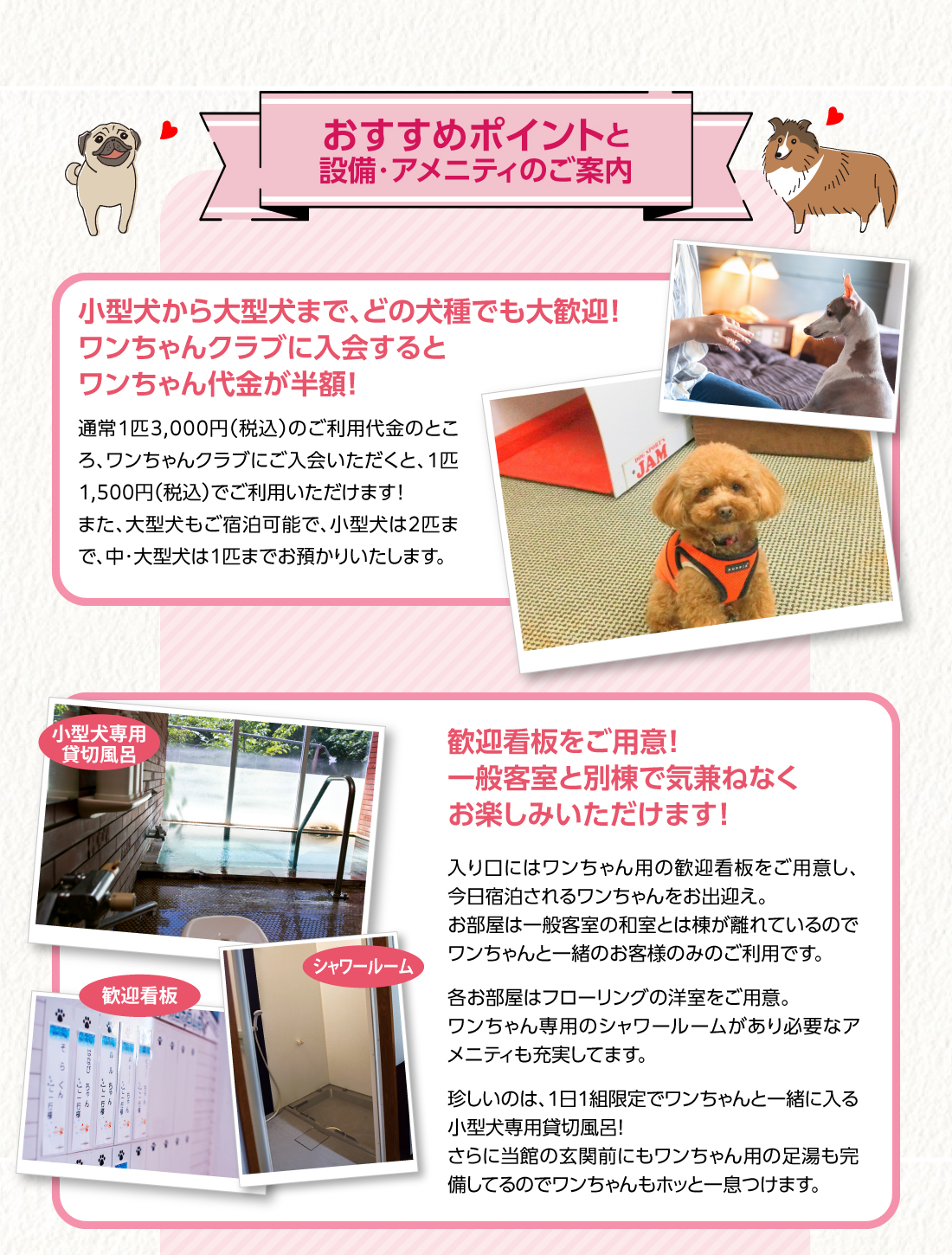 おすすめポイント・アメニティ